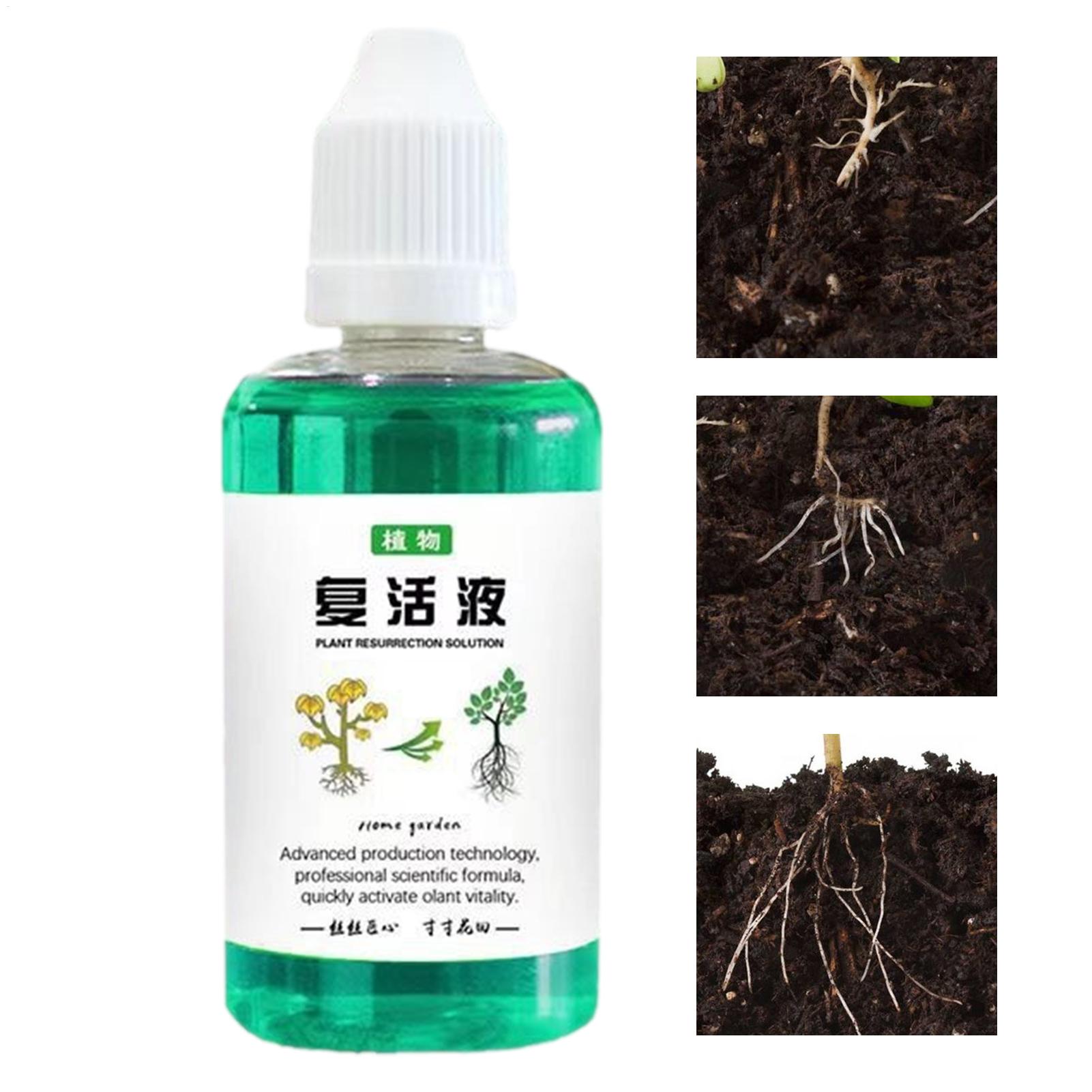 Wurzelstimulator für Pflanzen, – Root Stimulator Liquid Bewertung und Preis
